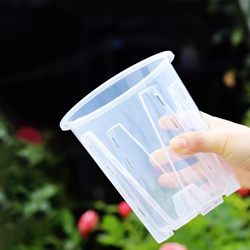 Aloe Vera Pot - 12cm for orchid Plant grow Pot