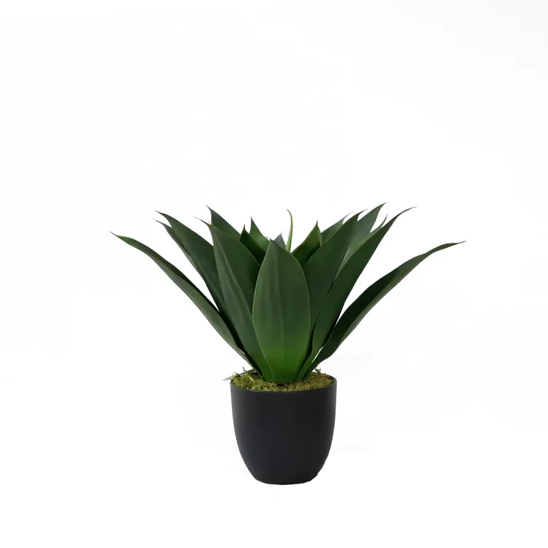 Aloe Vera Pot - Artificial Potted Aloe Vera Plant Bonsai