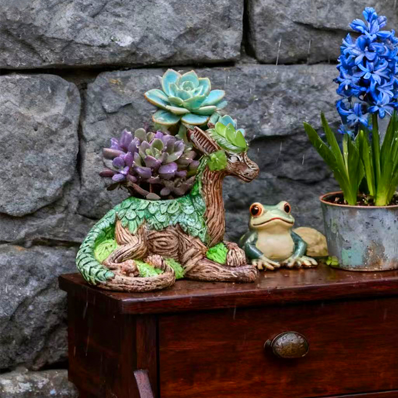 Creative Dragon Tree Flower Po - огляд і ціна Echeveria Succulent