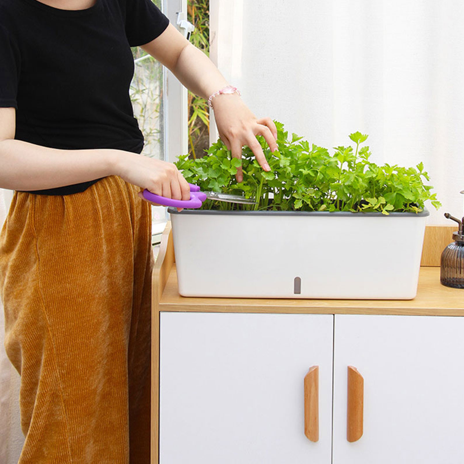 Self-Watering Planter Pots wit - огляд і ціна Aloe Vera Pot