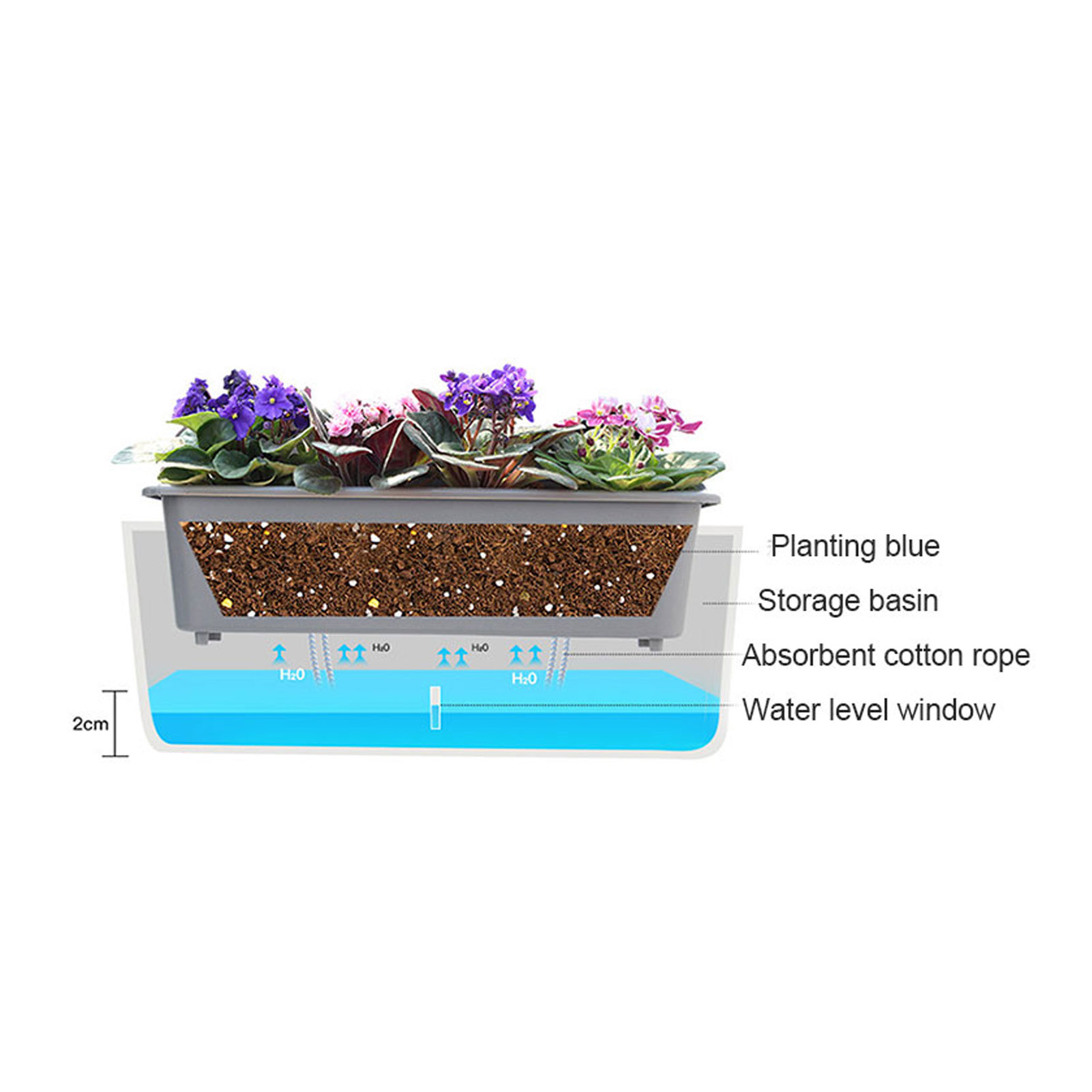 Self-Watering Planter Pots wit - огляд і ціна Aloe Vera Pot