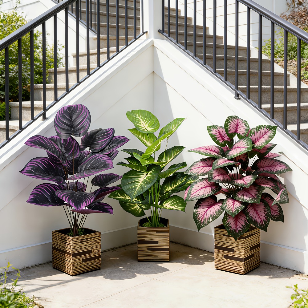 3pc Featuring Various Large-Le - огляд і ціна Ficus Lyrata Tree