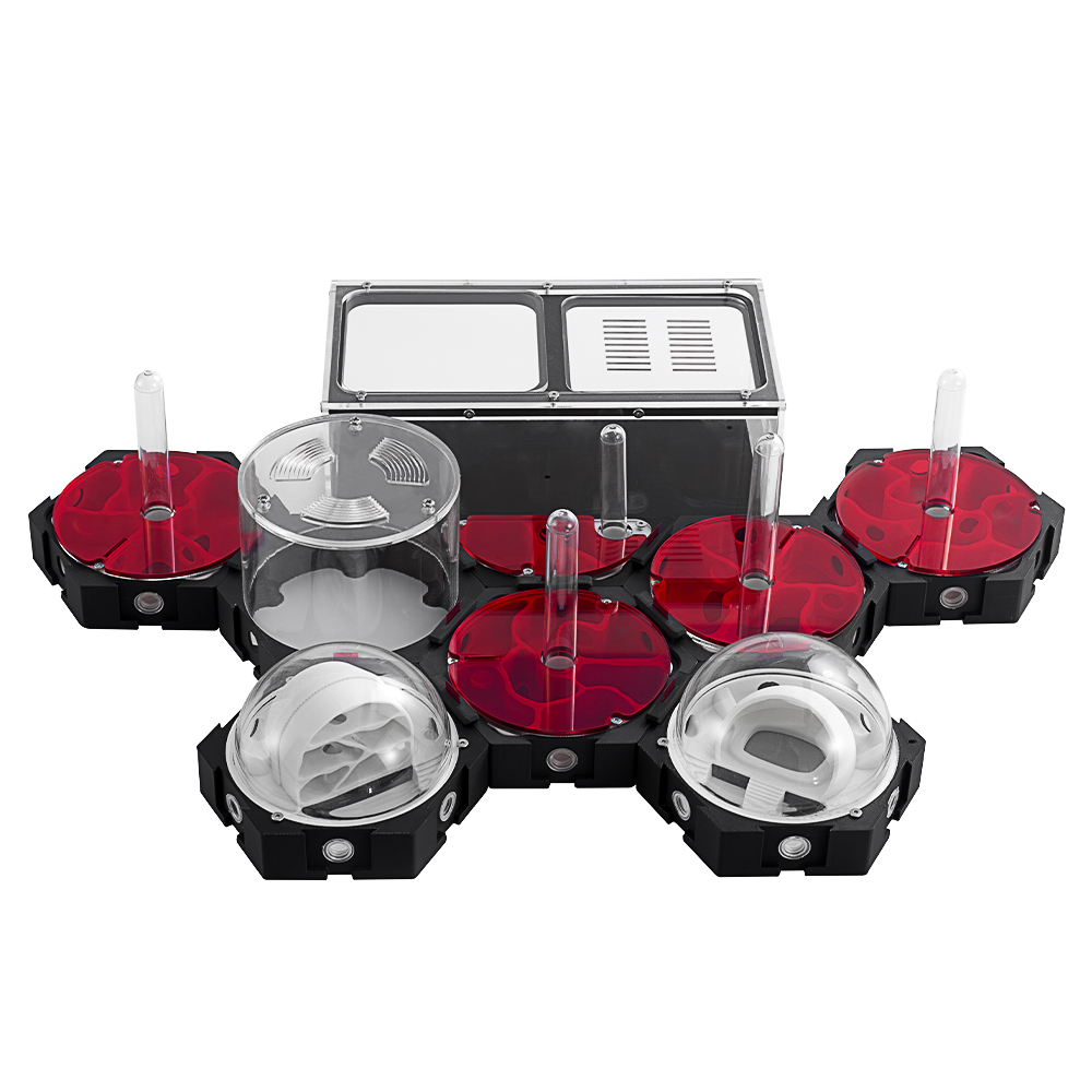 3D Printing Ant Farm Infinitel - огляд і ціна Begonia Rex