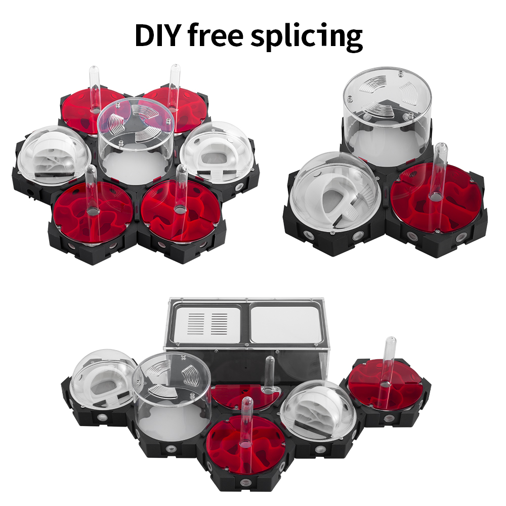 3D Printing Ant Farm Infinitel - огляд і ціна Begonia Rex