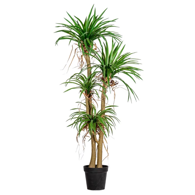 Indoor/Outdoor Home Tree Simul - огляд і ціна Dracaena Marginata