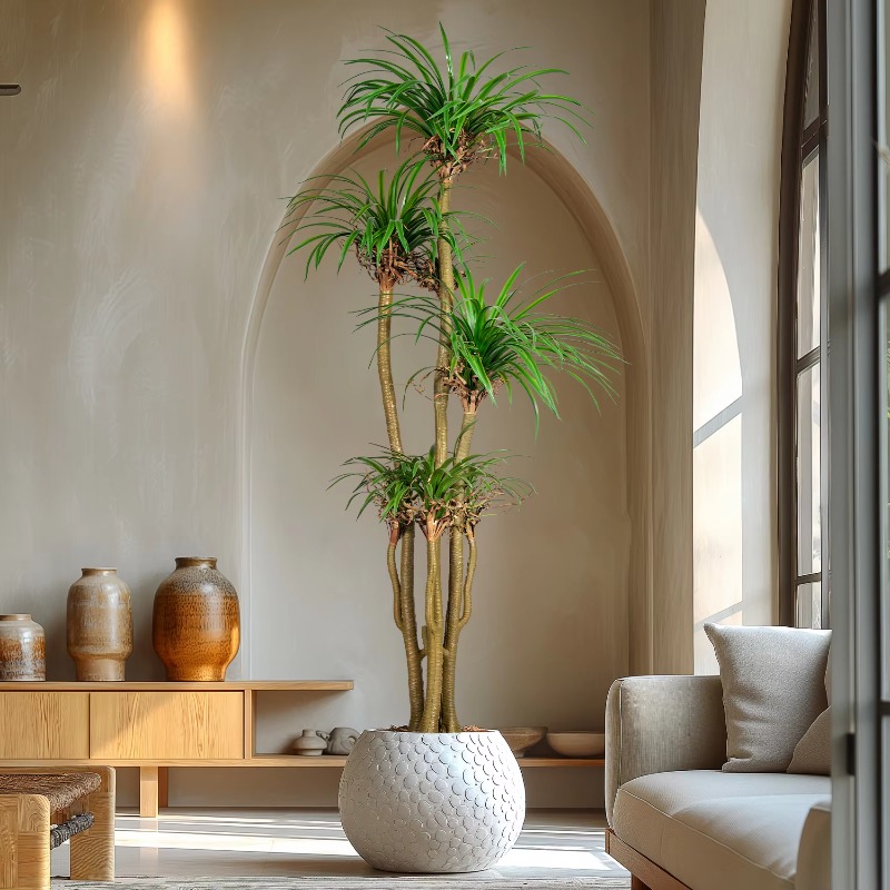 Indoor/Outdoor Home Tree Simul - огляд і ціна Dracaena Marginata
