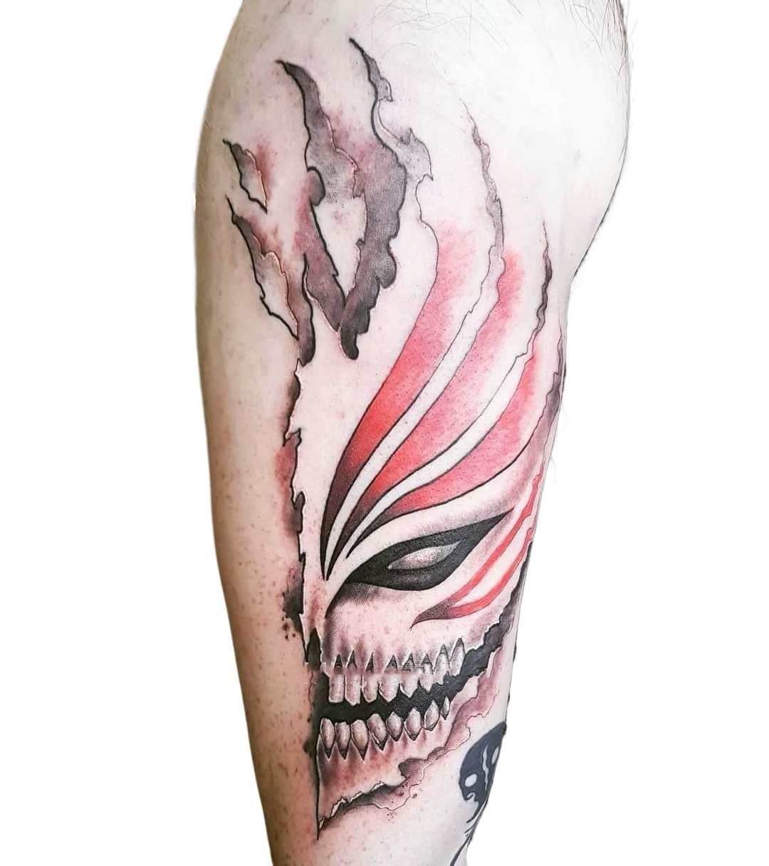 Anime BLEACH Temporary Tattoos - огляд і ціна Aglaonema Red