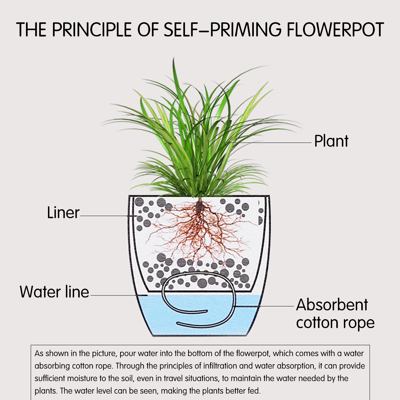 Automatic Self Watering Flower - огляд і ціна Aloe Vera Pot