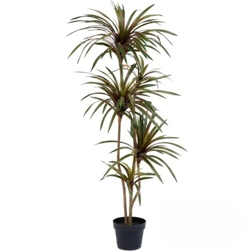 Simulation Colorful Ponytail I - огляд і ціна Dracaena Marginata