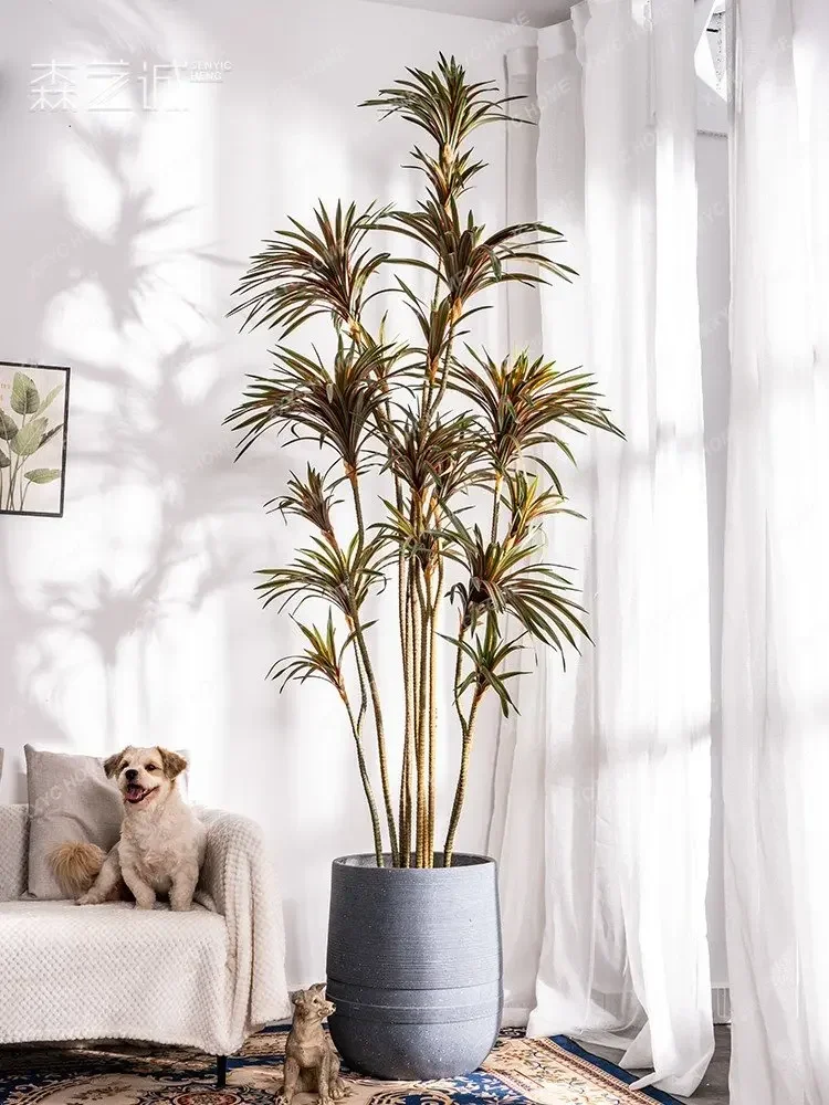 Simulation Dracaena Dracaena M - огляд і ціна Dracaena Marginata