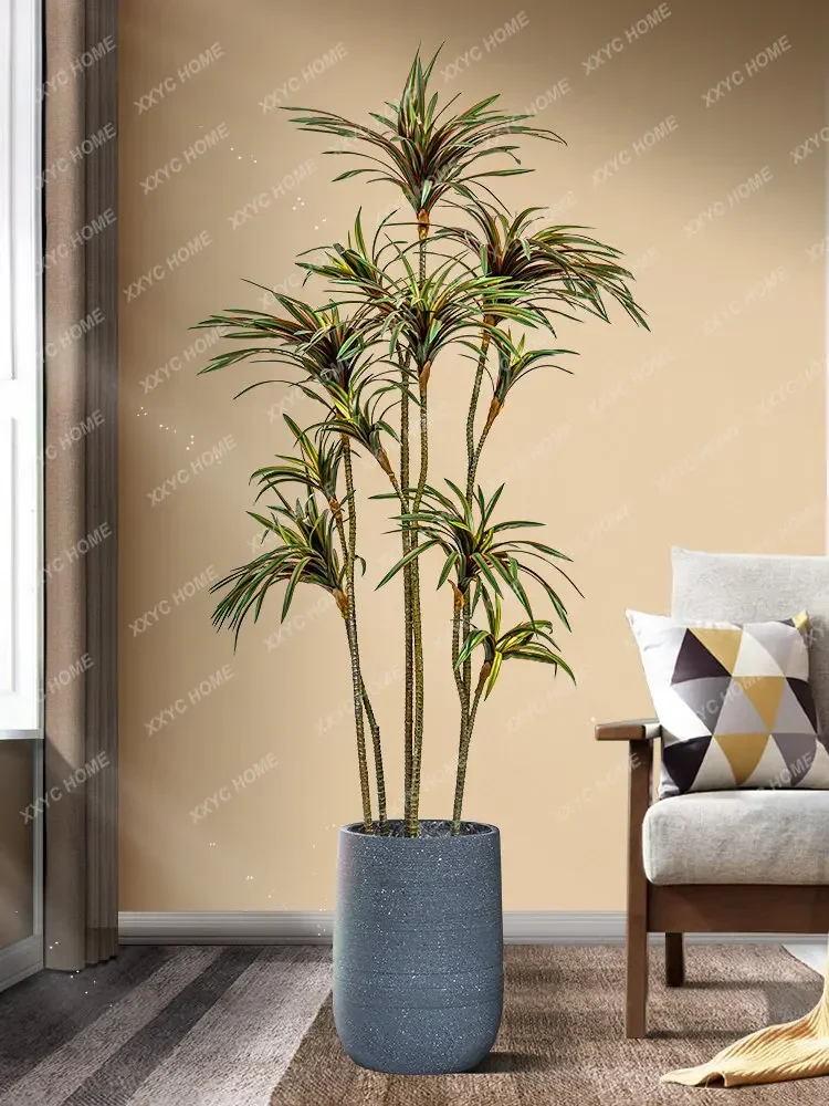 Simulation Dracaena Dracaena M - огляд і ціна Dracaena Marginata