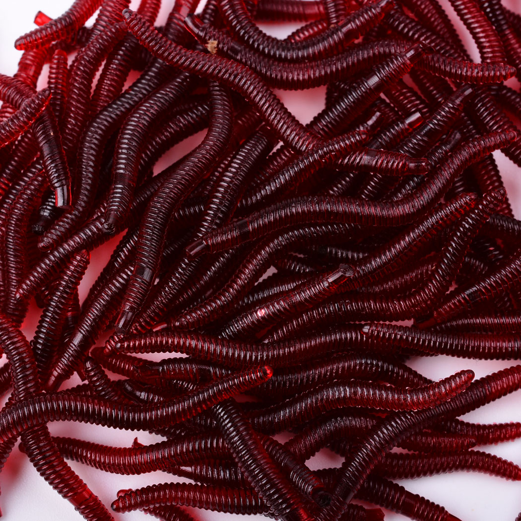 50pcs Lifelike Red Worm Soft L - огляд і ціна Aglaonema Red