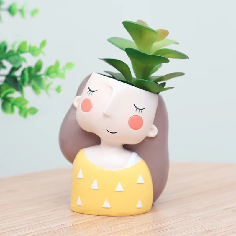 Lovely Girl Flower Pot for Suc - огляд і ціна Echeveria Succulent