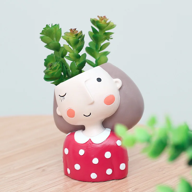 Lovely Girl Flower Pot for Suc - огляд і ціна Echeveria Succulent