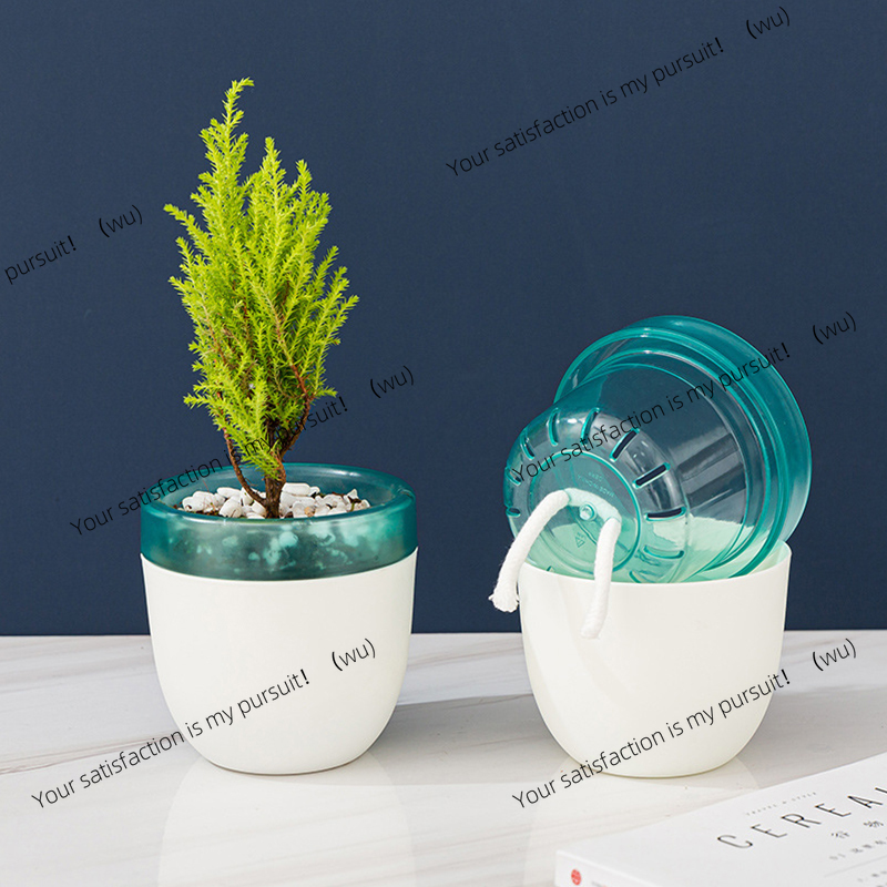 Automatic Water Absorption Laz - огляд і ціна Aloe Vera Pot