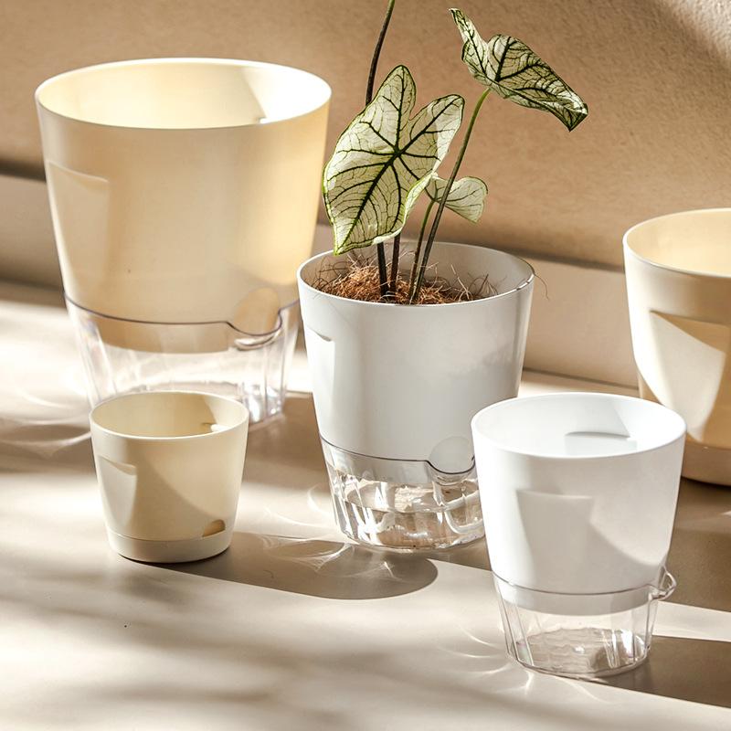 New Self Watering Plant Pots I - огляд і ціна Aloe Vera Pot