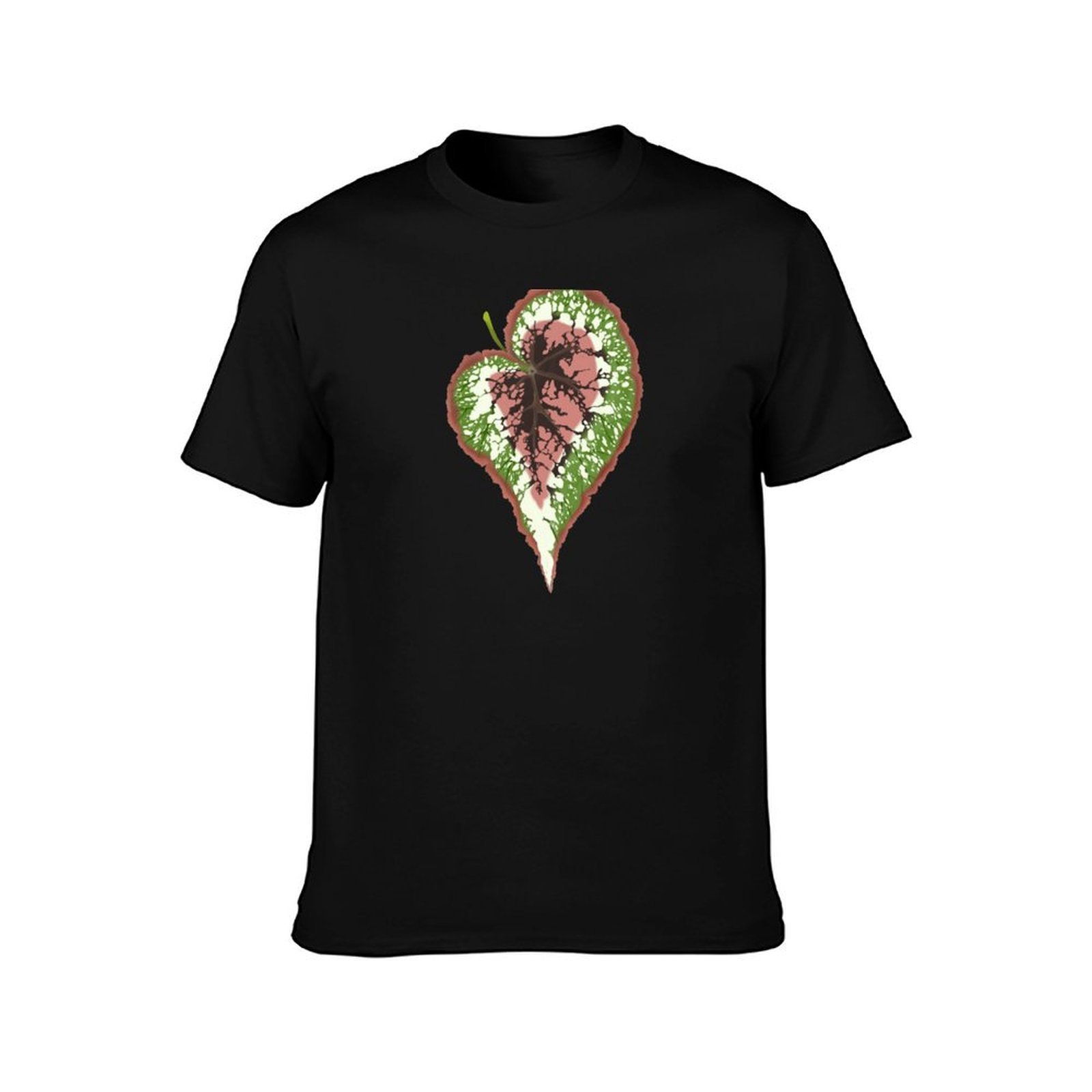 Begonia Rex T-Shirt Basic Simp - огляд і ціна Begonia Rex