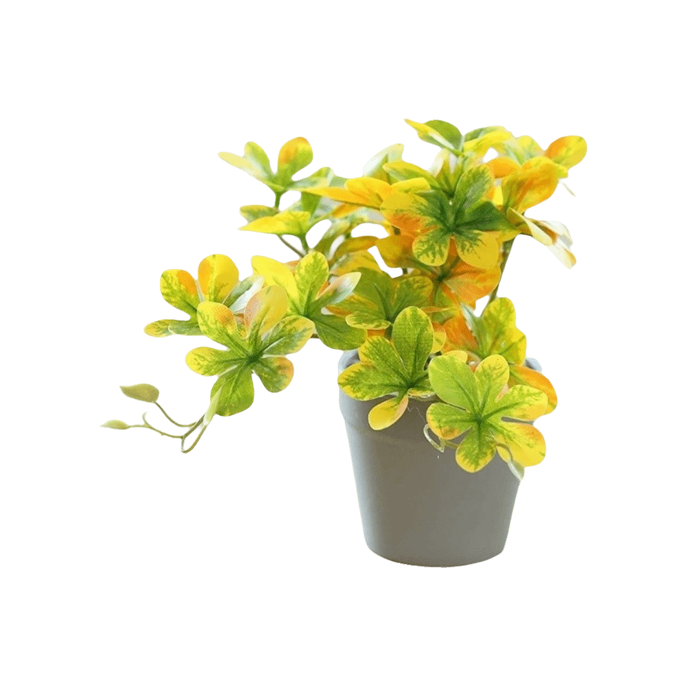 Bonsai Artificial Bonsai Plant - огляд і ціна Spider Plant Hanging