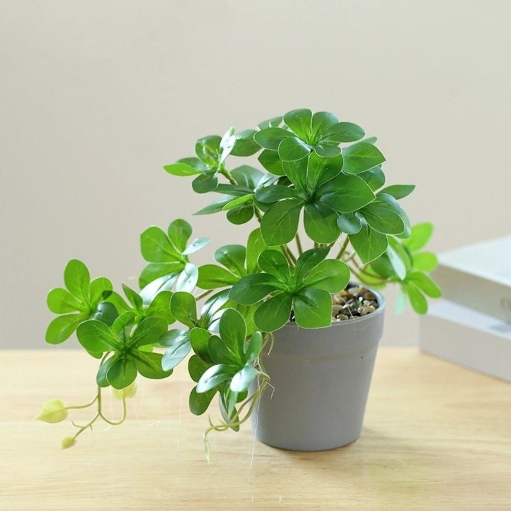 Bonsai Artificial Bonsai Plant - огляд і ціна Spider Plant Hanging