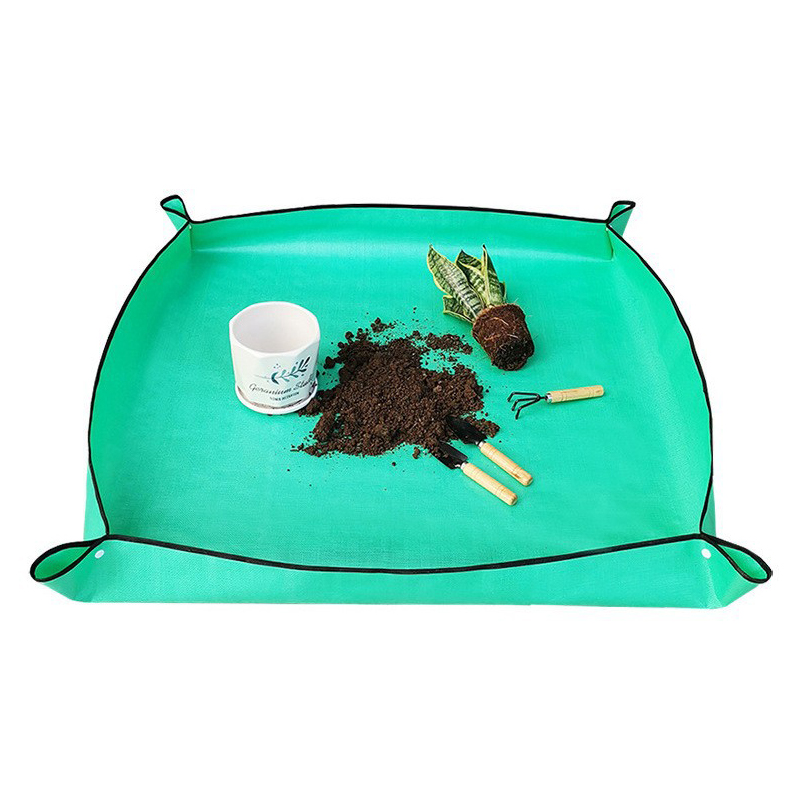 Plant Repotting Mat Waterproof - огляд і ціна Echeveria Succulent