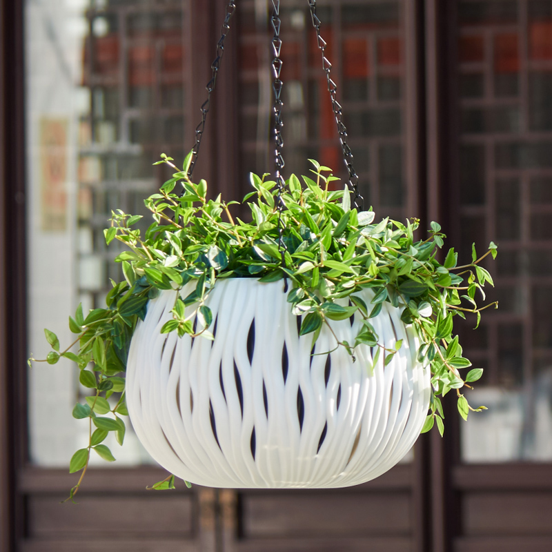 Hanging pot, plastic personali - огляд і ціна Spider Plant Hanging