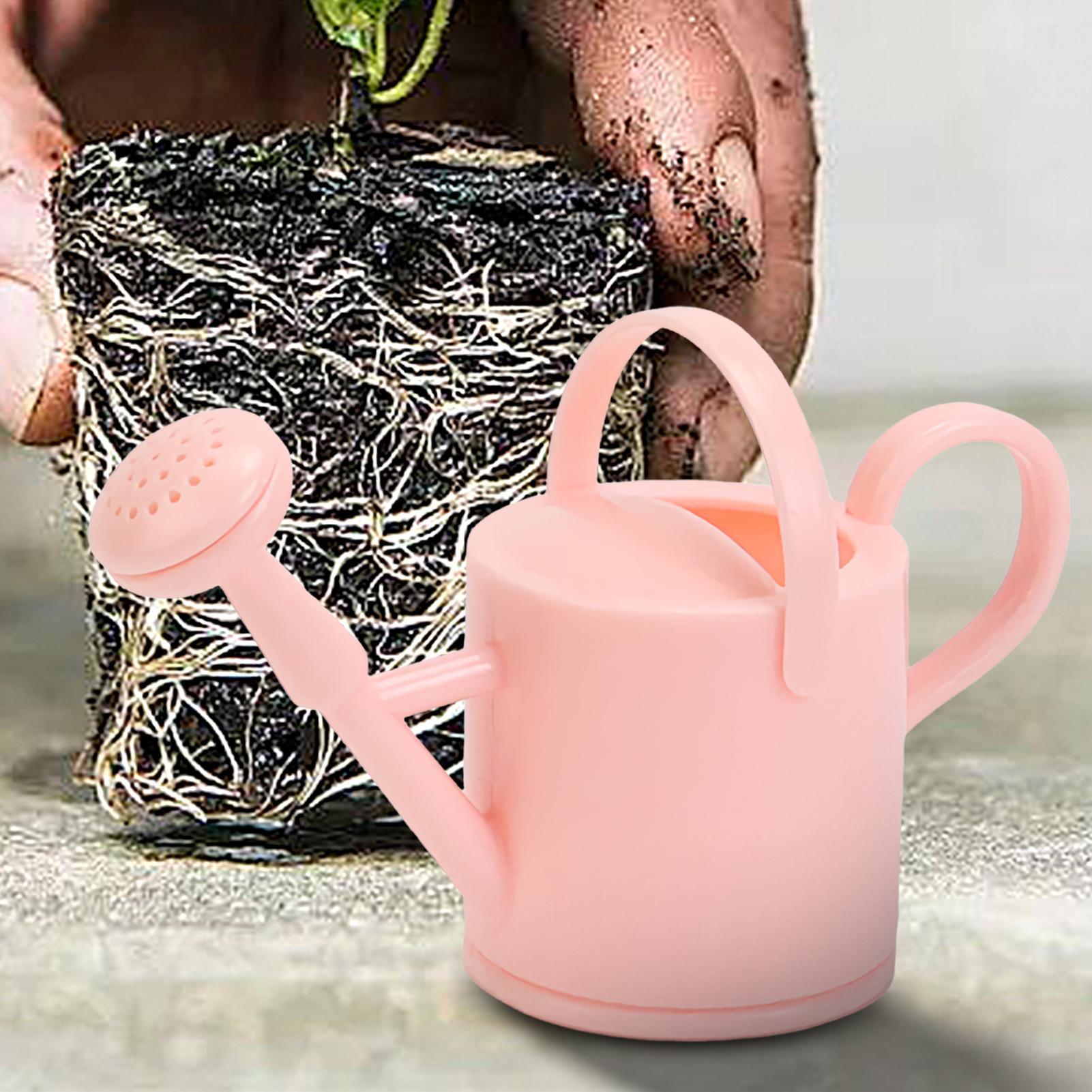 Small Kids Watering Can Flexib - огляд і ціна Echeveria Succulent