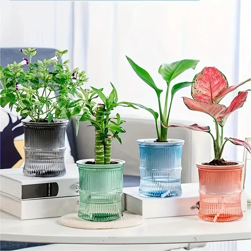Transparent Double Layer Self  - огляд і ціна Aloe Vera Pot