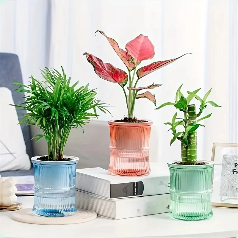 Transparent Double Layer Self  - огляд і ціна Aloe Vera Pot