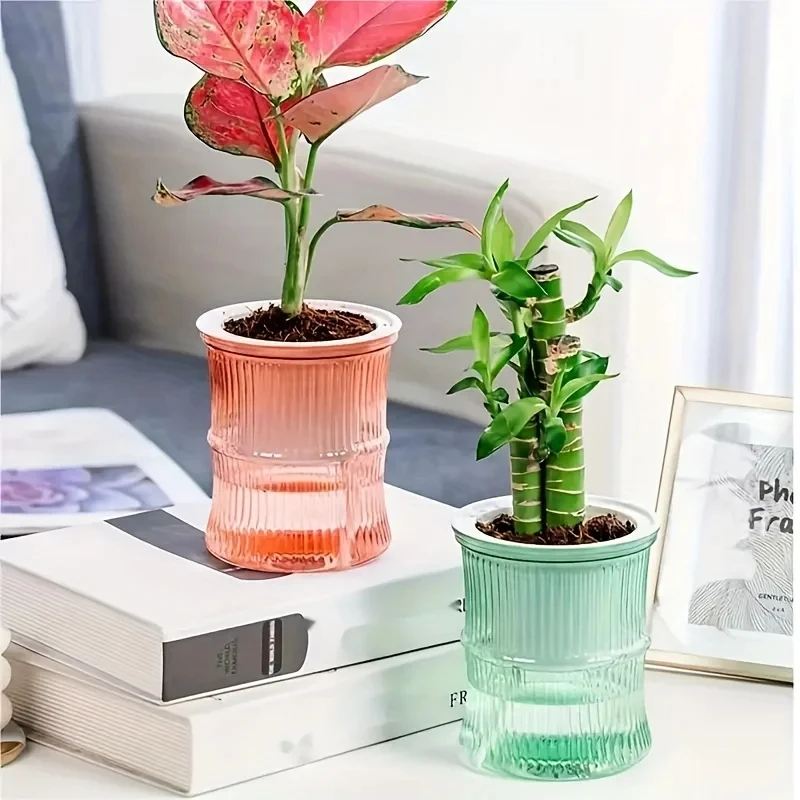 Transparent Double Layer Self  - огляд і ціна Aloe Vera Pot