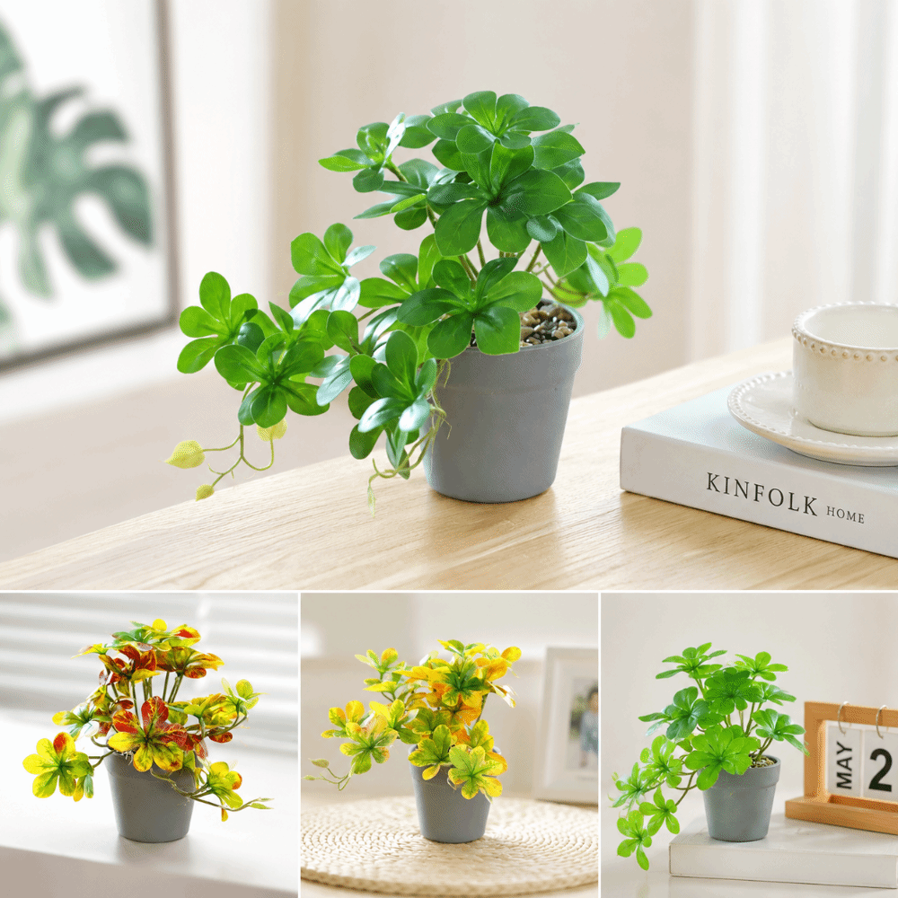 Bonsai Artificial Bonsai Plant - огляд і ціна Spider Plant Hanging