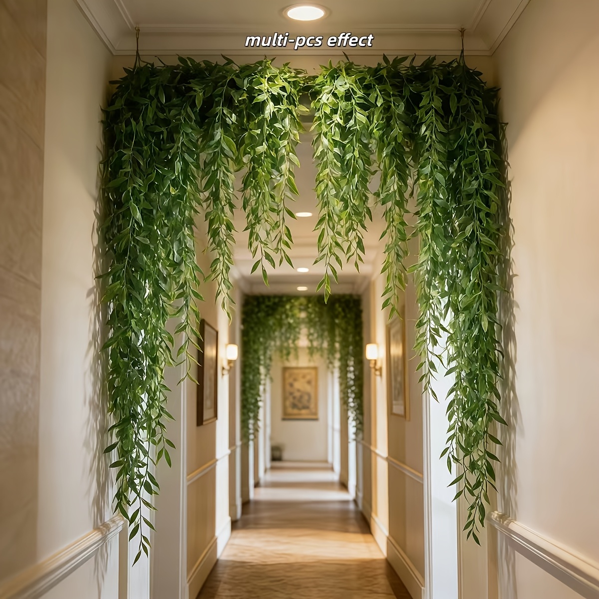 10pcs Extra-Long Deluxe Willow - огляд і ціна Dracaena Marginata