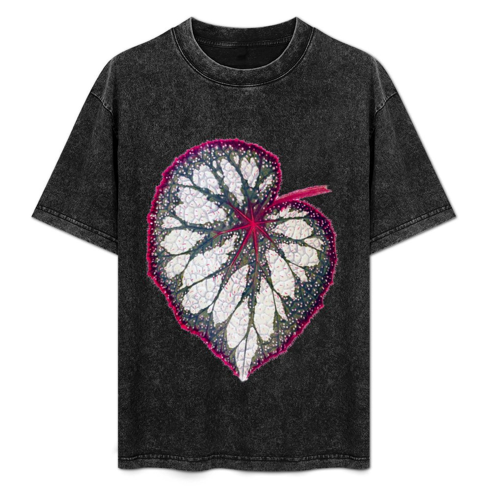 Begonia rex T-Shirt Holiday Si - огляд і ціна Begonia Rex