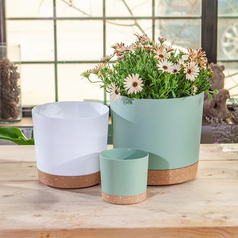 Plant POTS, lightweight large  - огляд і ціна Aloe Vera Pot