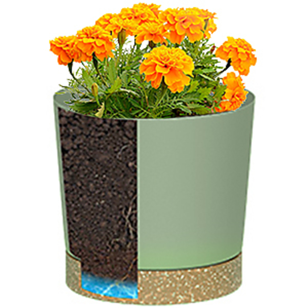 Plant POTS, lightweight large  - огляд і ціна Aloe Vera Pot