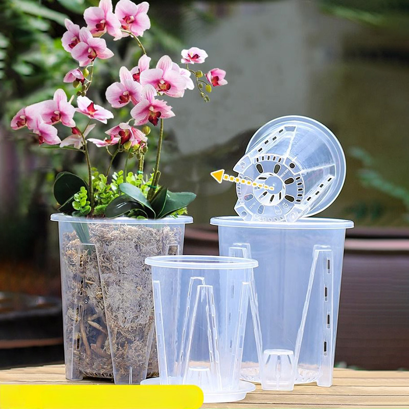 12cm for orchid Plant grow  Po - огляд і ціна Aloe Vera Pot