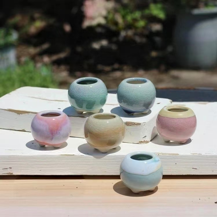 6Pcs Mini Flowerpot Succulents - огляд і ціна Echeveria Succulent