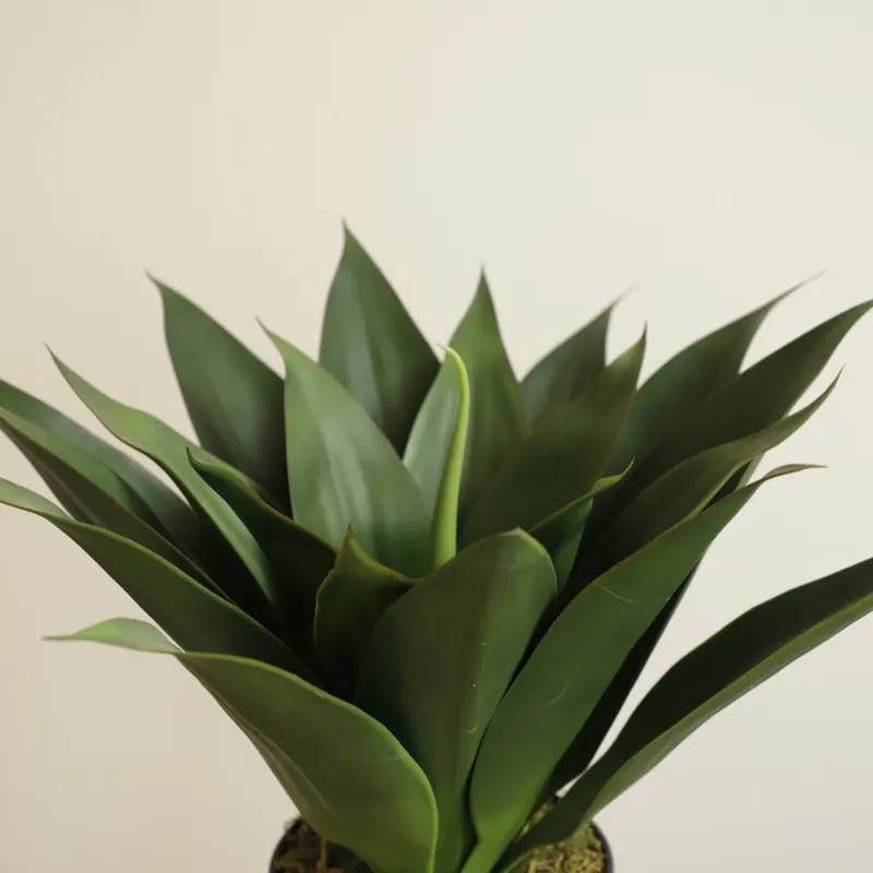 Artificial Potted Aloe Vera Pl - огляд і ціна Aloe Vera Pot