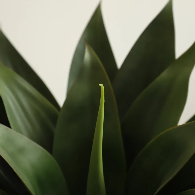 Artificial Potted Aloe Vera Pl - огляд і ціна Aloe Vera Pot