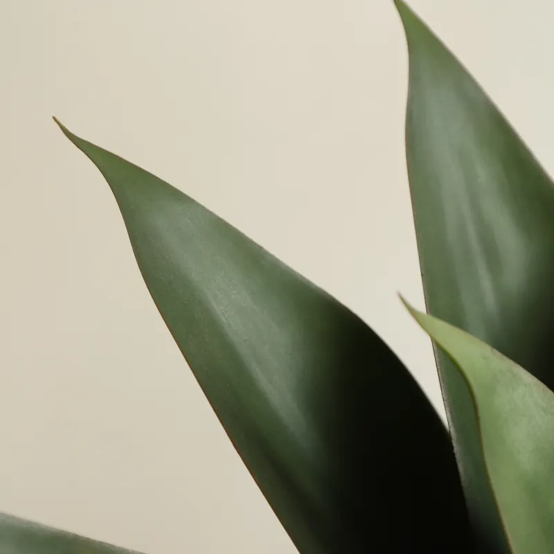 Artificial Potted Aloe Vera Pl - огляд і ціна Aloe Vera Pot